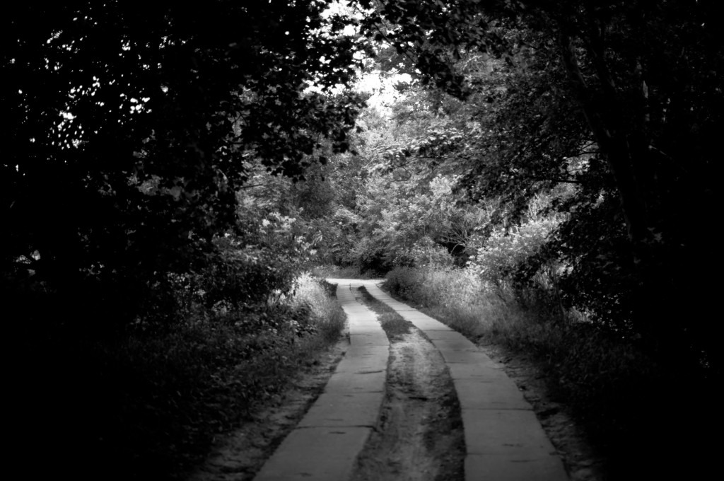 2011_06_26-18_04_05-007