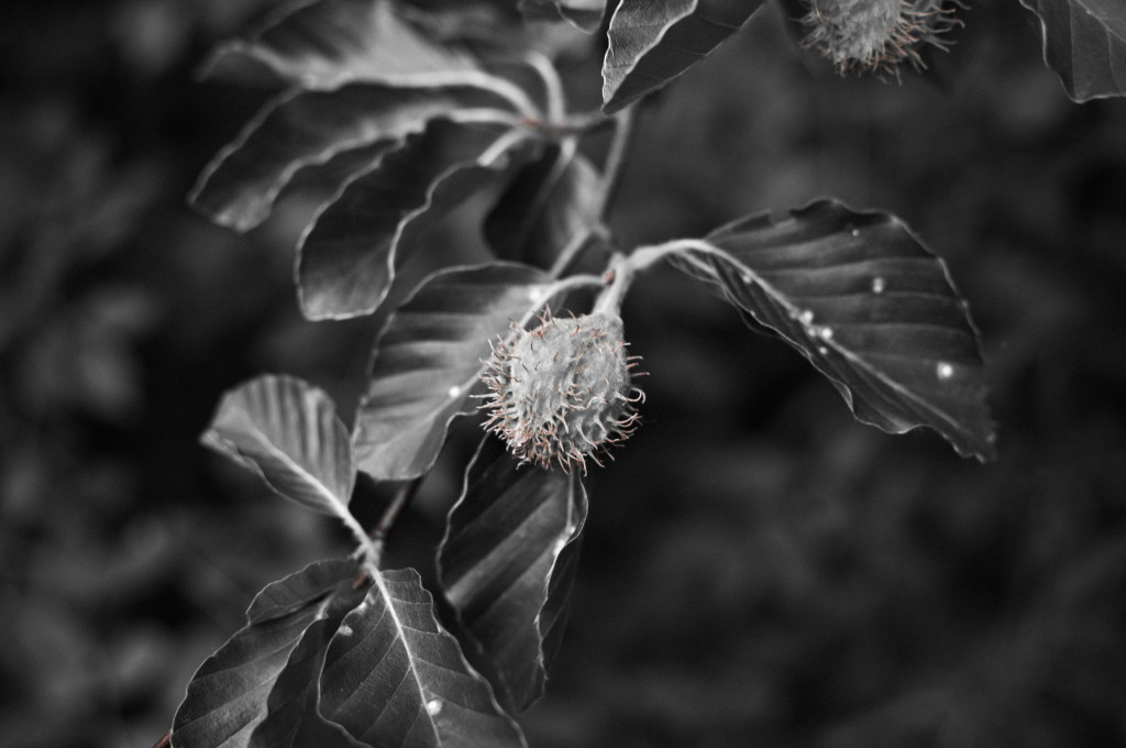 2011_06_26-18_08_43-007