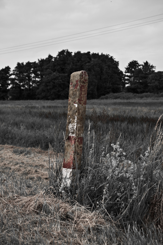 2011_06_26-18_16_09-007