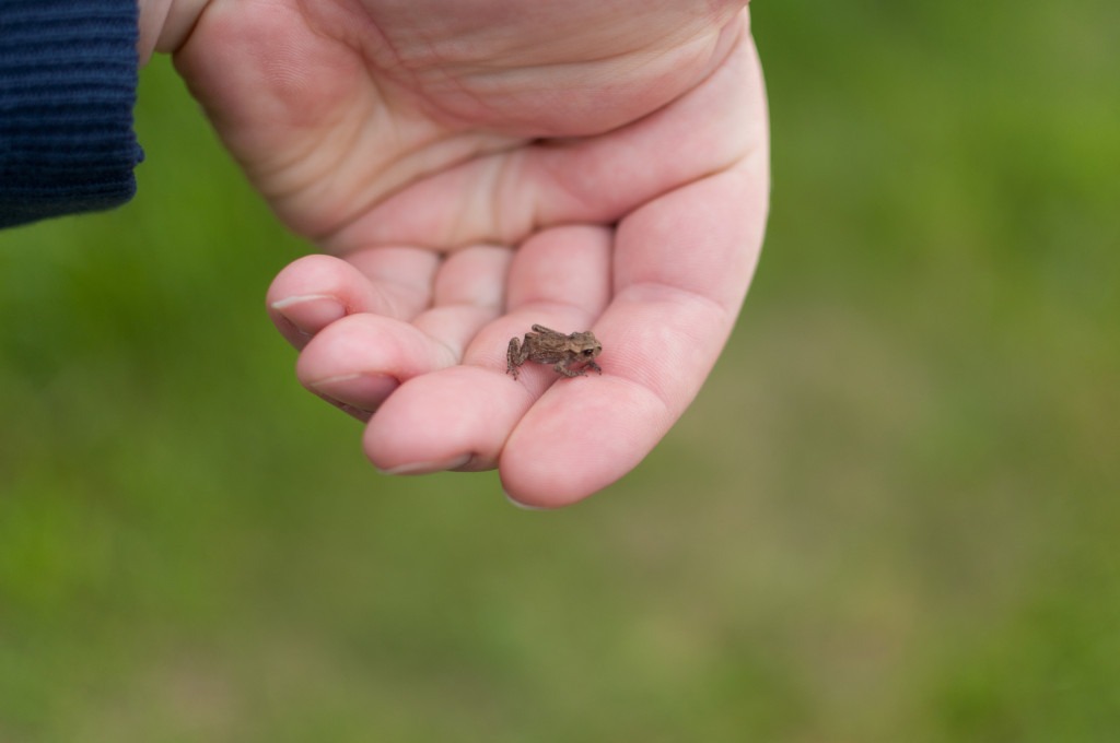 2011_06_26-18_34_51-007