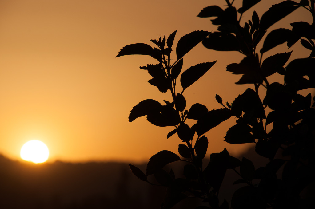 2012_10_19-18_12_39-024